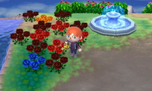 青いバラが咲いた！